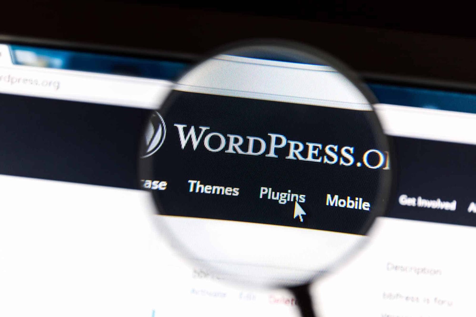 Avoid these 5 WordPress errors.