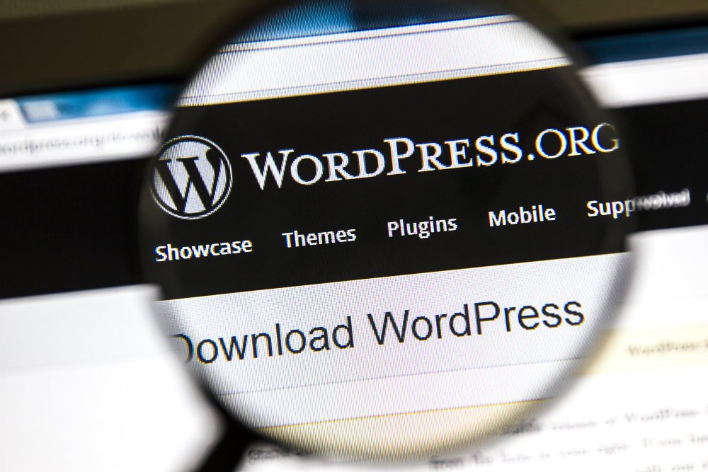Discover how to establish the WordPress Platform in five simple steps!