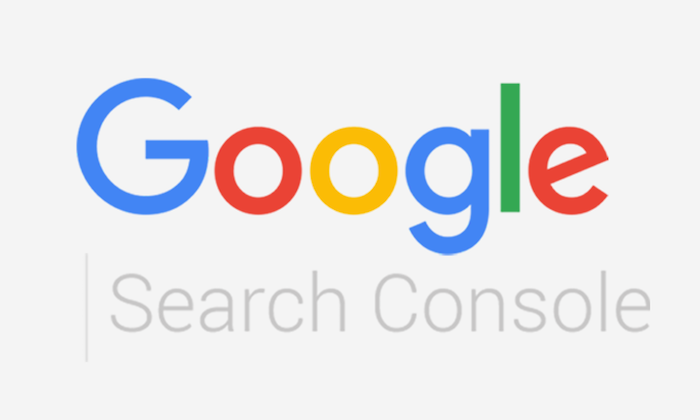 A fundamental guide to Google Search Console containing all essential information.
